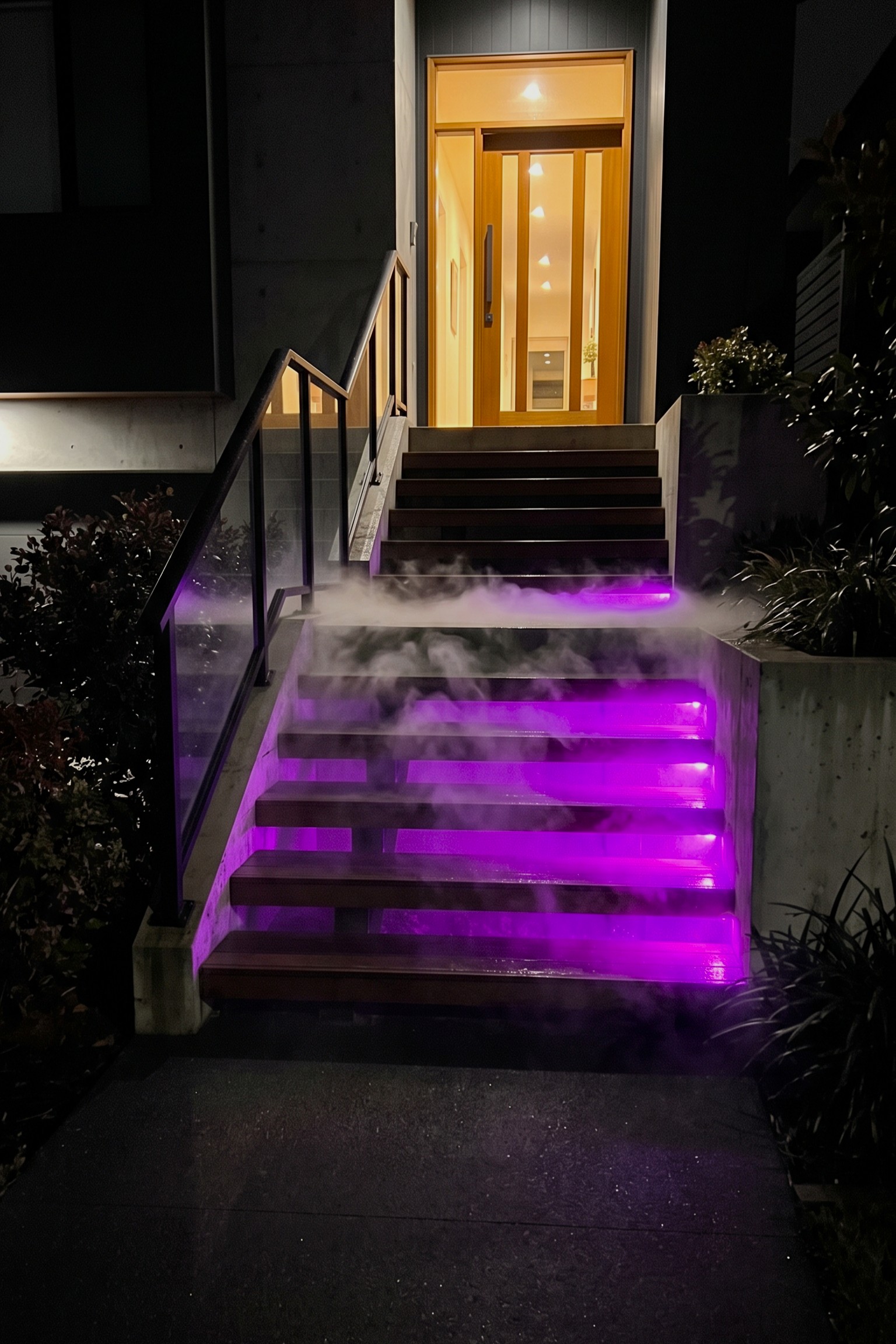 Fog-Lit Entry Steps